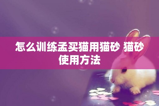 怎么訓練孟買貓用貓砂 貓砂使用方法