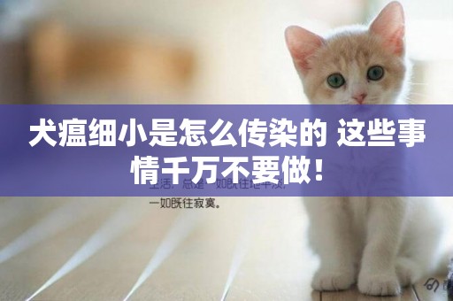 犬瘟細小是怎么傳染的 這些事情千萬不要做！