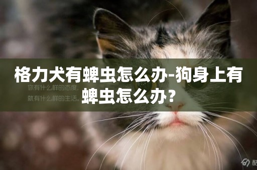格力犬有蜱蟲怎么辦-狗身上有蜱蟲怎么辦？