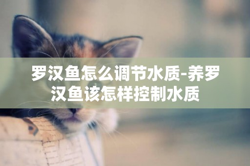 羅漢魚怎么調節水質-養羅漢魚該怎樣控制水質