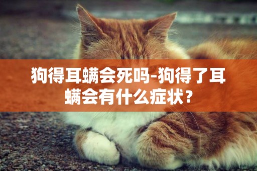 狗得耳螨會死嗎-狗得了耳螨會有什么癥狀？
