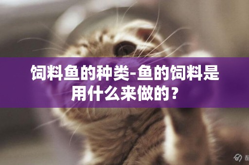 飼料魚的種類-魚的飼料是用什么來做的？