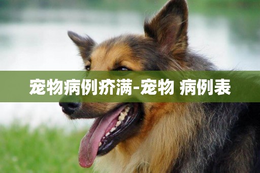 寵物病例疥滿-寵物 病例表