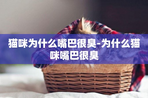貓咪為什么嘴巴很臭-為什么貓咪嘴巴很臭