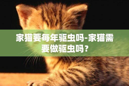 家貓要每年驅蟲嗎-家貓需要做驅蟲嗎？