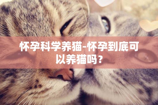 懷孕科學養貓-懷孕到底可以養貓嗎？