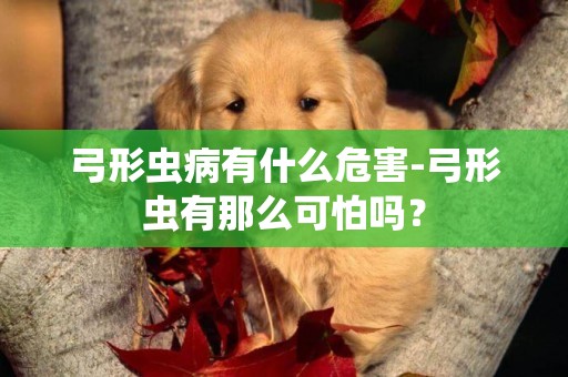 弓形蟲病有什么危害-弓形蟲有那么可怕嗎？