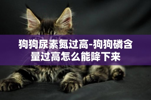 狗狗尿素氮過高-狗狗磷含量過高怎么能降下來
