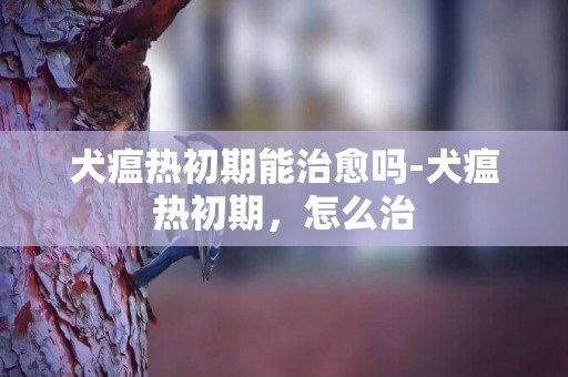 犬瘟熱初期能治愈嗎-犬瘟熱初期，怎么治
