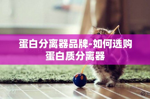 蛋白分離器品牌-如何選購蛋白質分離器