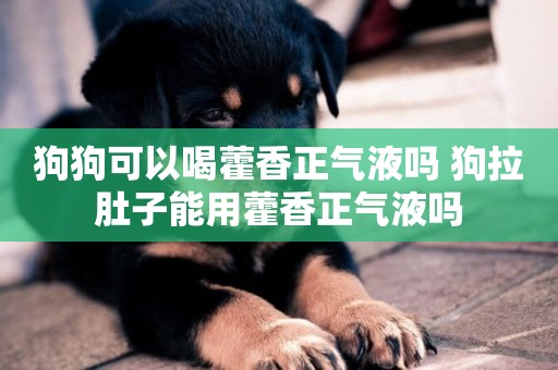 狗狗可以喝藿香正氣液嗎 狗拉肚子能用藿香正氣液嗎