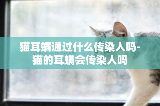 貓耳螨通過什么傳染人嗎-貓的耳螨會傳染人嗎