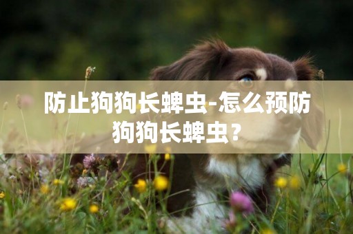 防止狗狗長蜱蟲-怎么預防狗狗長蜱蟲？