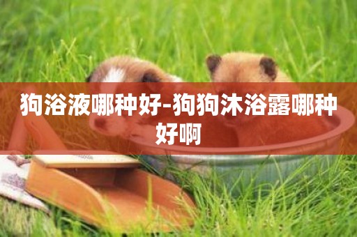 狗浴液哪種好-狗狗沐浴露哪種好啊