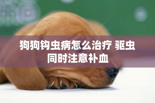 狗狗鉤蟲病怎么治療 驅蟲同時注意補血