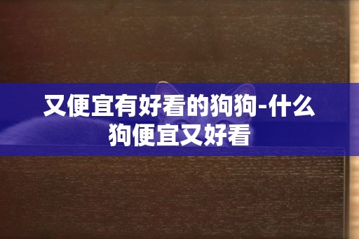 又便宜有好看的狗狗-什么狗便宜又好看