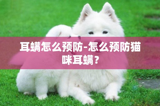耳螨怎么預防-怎么預防貓咪耳螨？