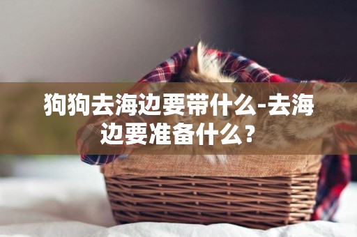 狗狗去海邊要帶什么-去海邊要準備什么？