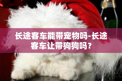 長途客車能帶寵物嗎-長途客車讓帶狗狗嗎？