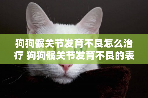 狗狗髖關節發育不良怎么治療 狗狗髖關節發育不良的表現
