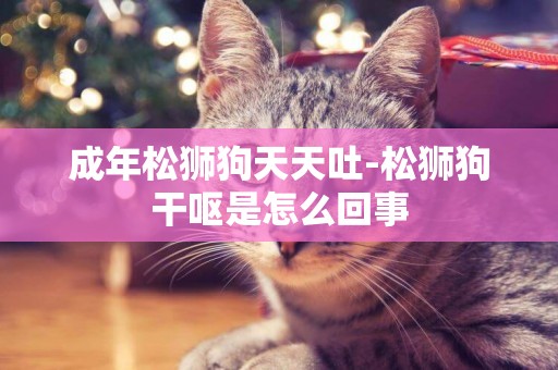 成年松獅狗天天吐-松獅狗干嘔是怎么回事