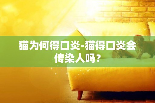貓為何得口炎-貓得口炎會傳染人嗎？