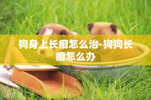 狗身上長癬怎么治-狗狗長癬怎么辦