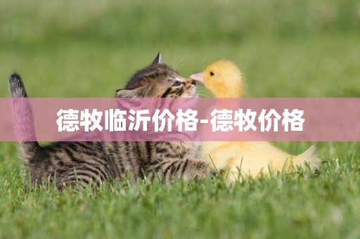 德牧臨沂價格-德牧價格