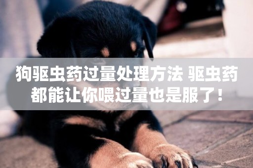 狗驅蟲藥過量處理方法 驅蟲藥都能讓你喂過量也是服了！
