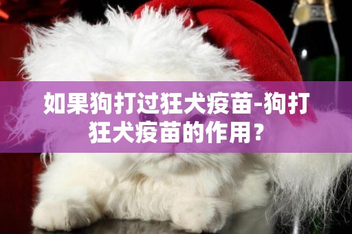 如果狗打過狂犬疫苗-狗打狂犬疫苗的作用？