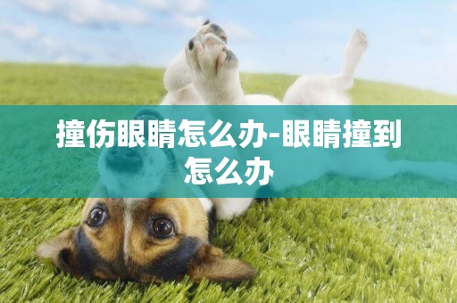 撞傷眼睛怎么辦-眼睛撞到怎么辦