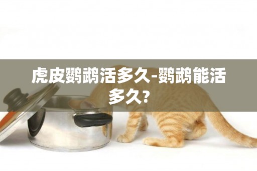虎皮鸚鵡活多久-鸚鵡能活多久?