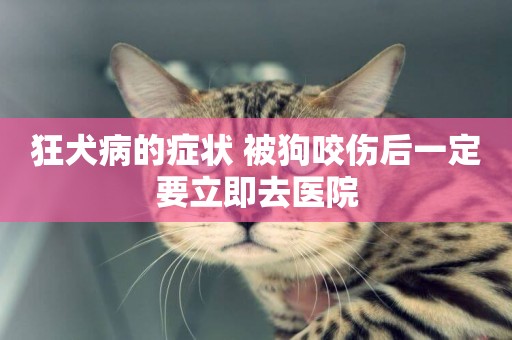 狂犬病的癥狀 被狗咬傷后一定要立即去醫院 狂犬病的癥狀 被狗咬傷后一定要立即去醫院