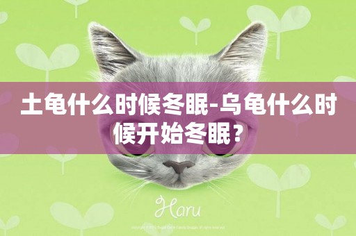 土龜什么時候冬眠-烏龜什么時候開始冬眠？