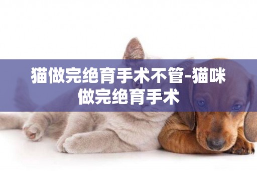 貓做完絕育手術不管-貓咪做完絕育手術