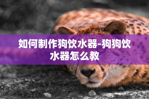 如何制作狗飲水器-狗狗飲水器怎么教