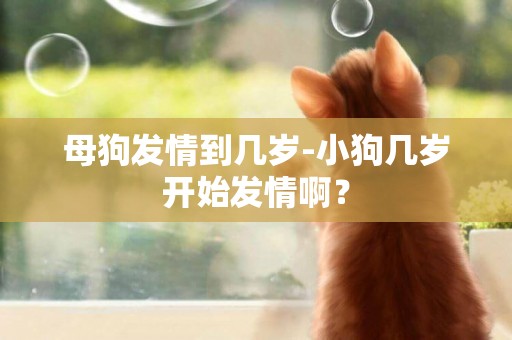 母狗發情到幾歲-小狗幾歲開始發情啊？