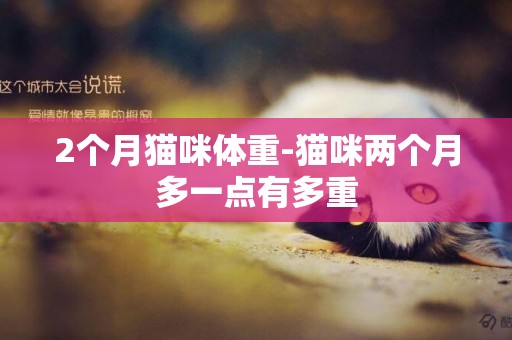 2個月貓咪體重-貓咪兩個月多一點有多重