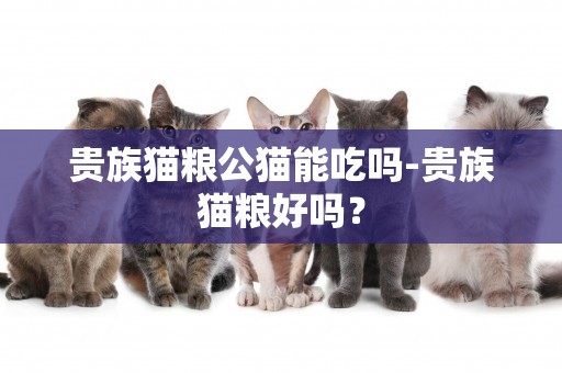 貴族貓糧公貓能吃嗎-貴族貓糧好嗎？