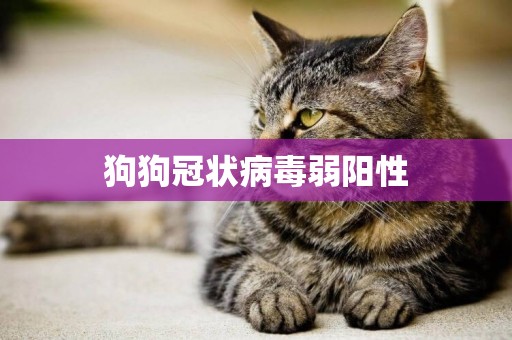 狗狗冠狀病毒弱陽性