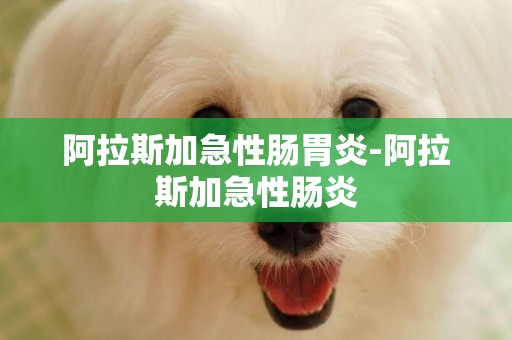 阿拉斯加急性腸胃炎-阿拉斯加急性腸炎