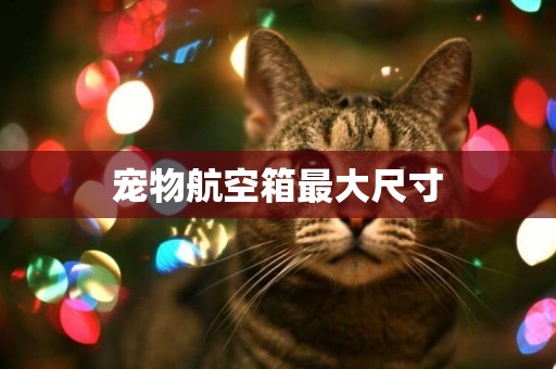 寵物航空箱最大尺寸