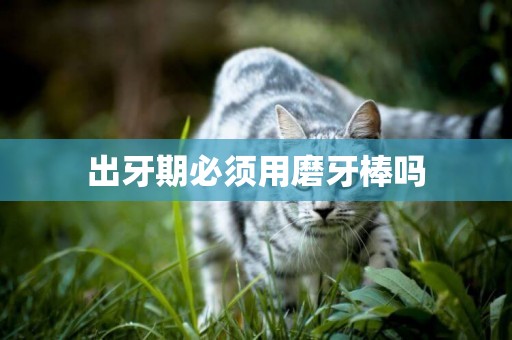 出牙期必須用磨牙棒嗎