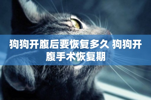 狗狗開腹后要恢復多久 狗狗開腹手術恢復期