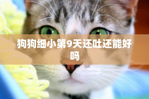 狗狗細小第9天還吐還能好嗎