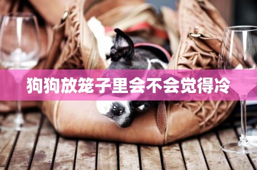 狗狗放籠子里會不會覺得冷