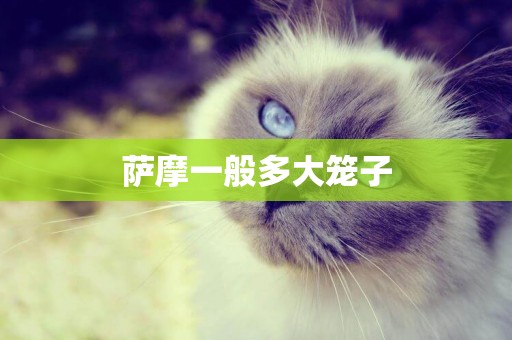薩摩一般多大籠子