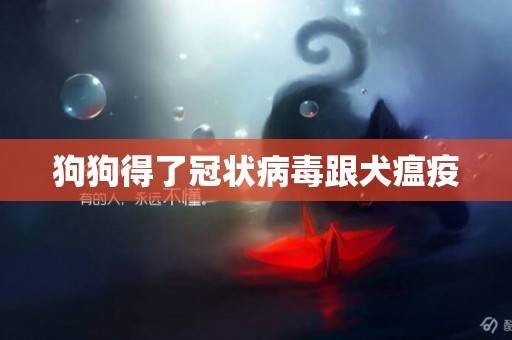 狗狗得了冠狀病毒跟犬瘟疫
