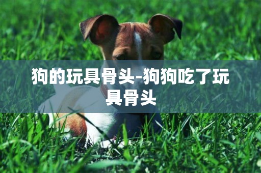 狗的玩具骨頭-狗狗吃了玩具骨頭