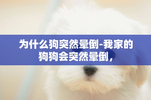 為什么狗突然暈倒-我家的狗狗會突然暈倒，